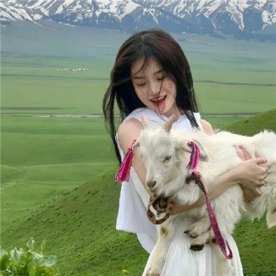 猛虎嗅蔷薇之龙凤大盗