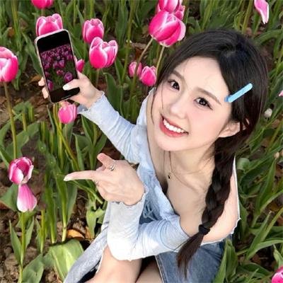 秩序的守护者
